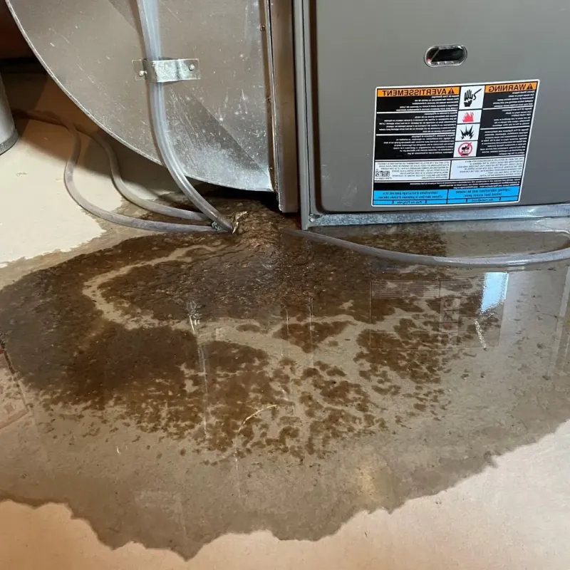 Pipe Burst and Leak Restoration in Inwood, NY